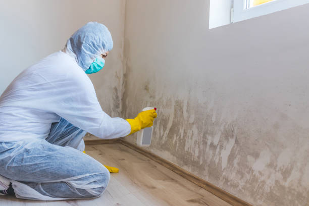 Mold Remediation specialist working in Cranford